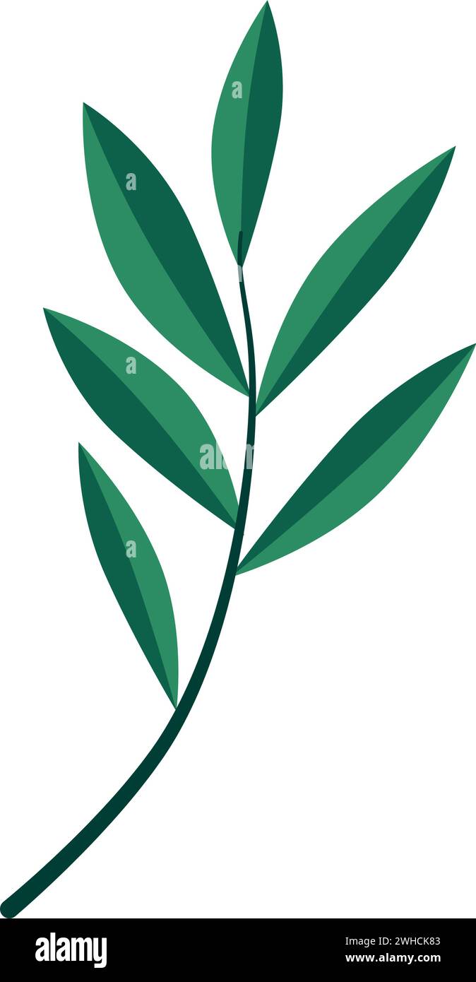 Isolated colored seasonal leaf icon Vector Stock Vector Image & Art - Alamy