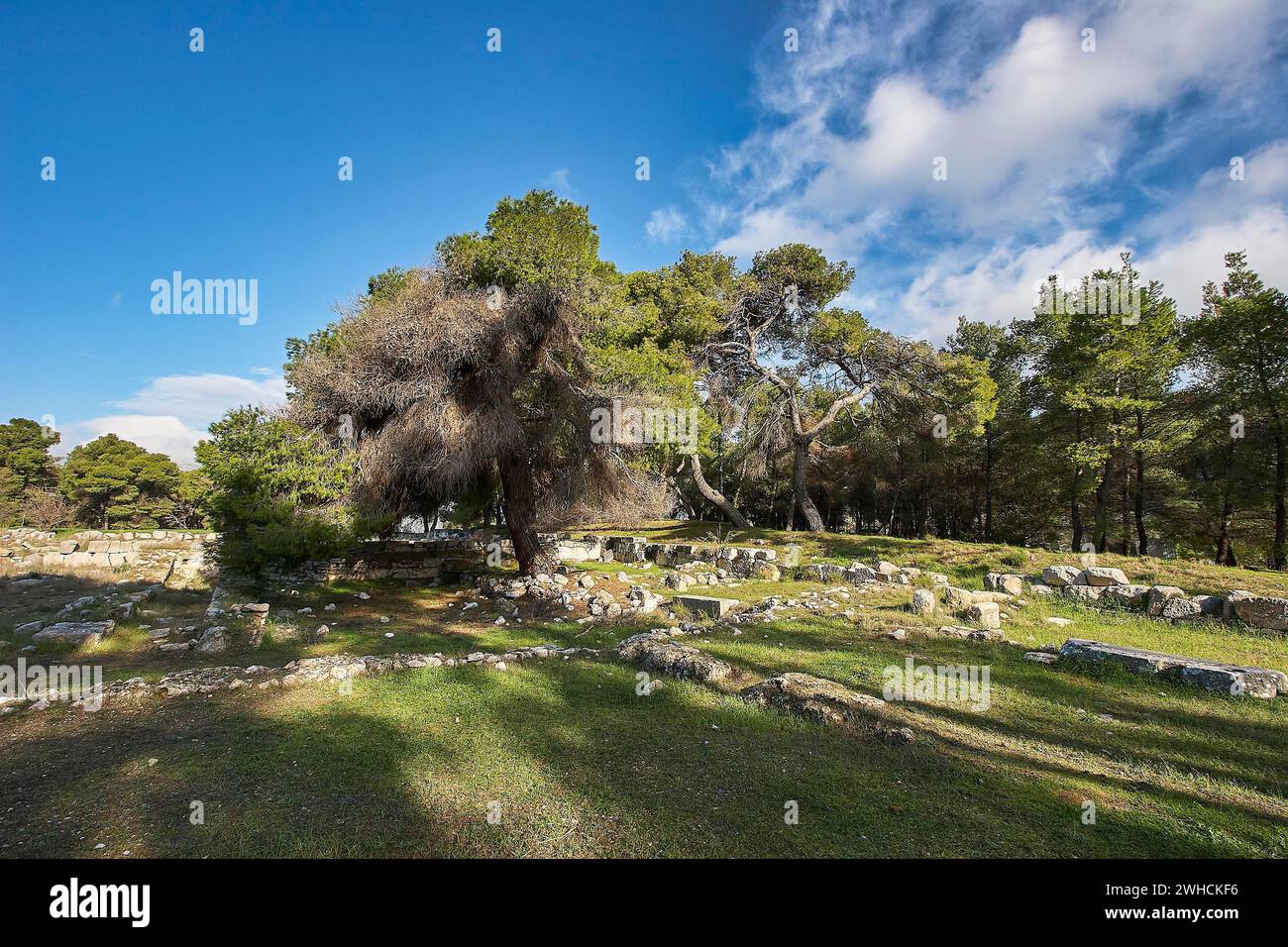 Ancient ruins surrounded by green trees under a blue sky with fluffy ...
