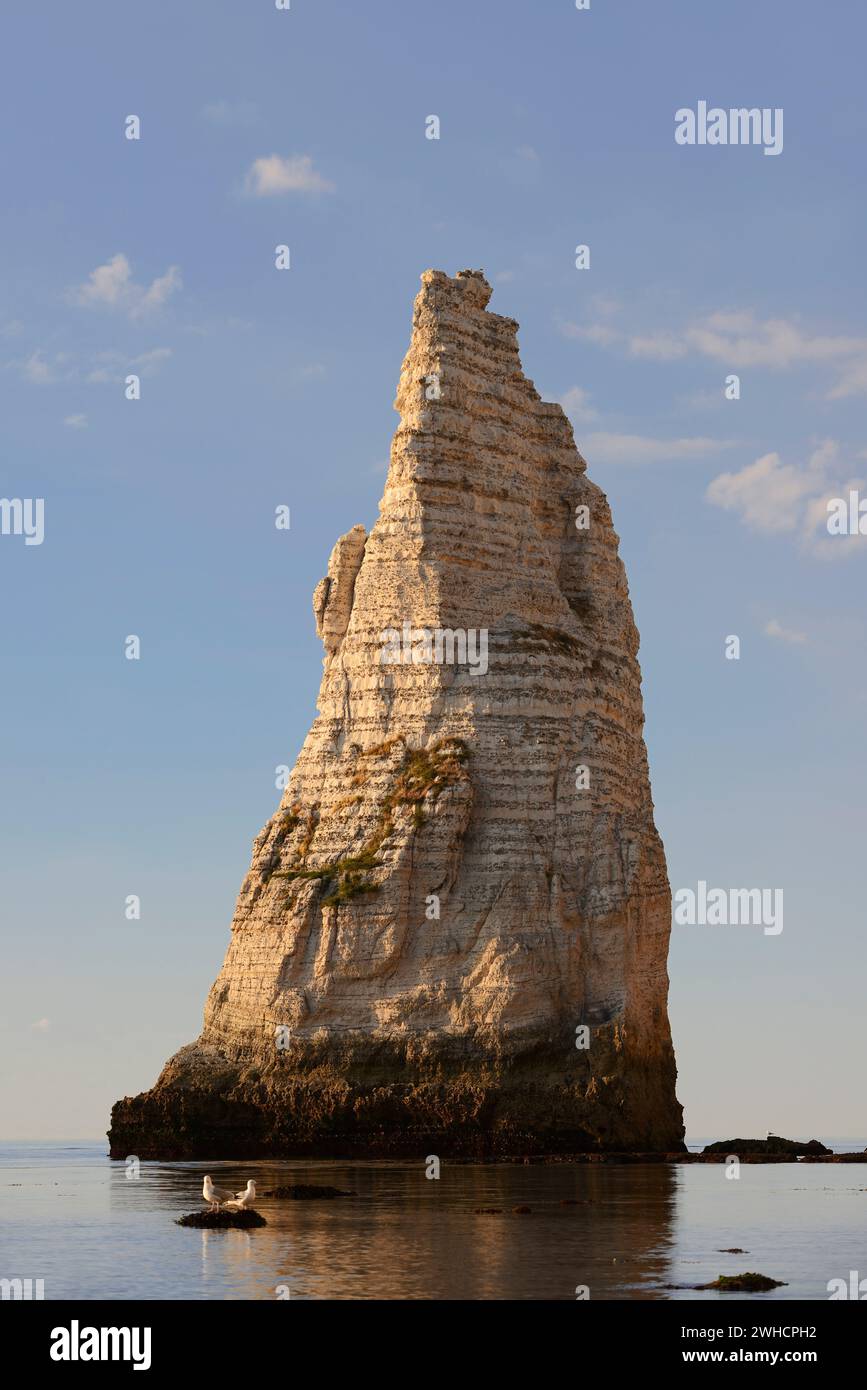Rock needle aiguille etretat hi-res stock photography and images - Alamy