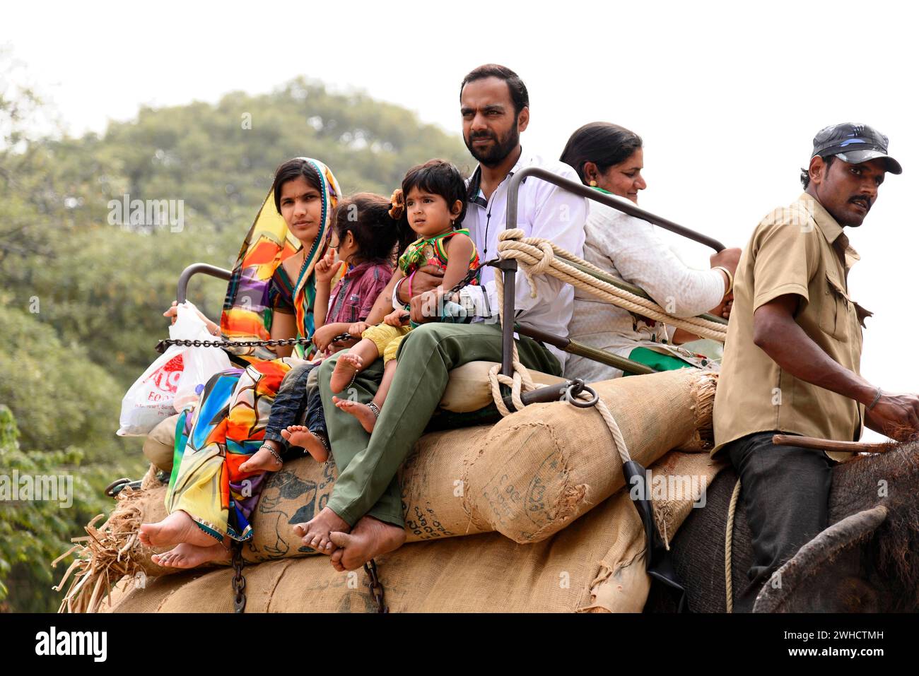 Elephant ride, tourists, palace of Mysore, Mysore, Karnataka, South
