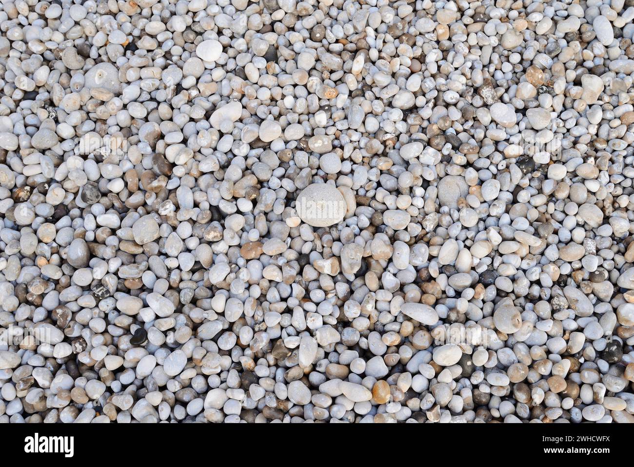 Pebbles on the beach, Etretat, Alabaster Coast, Seine-Maritime, Upper Normandy, France Stock Photo