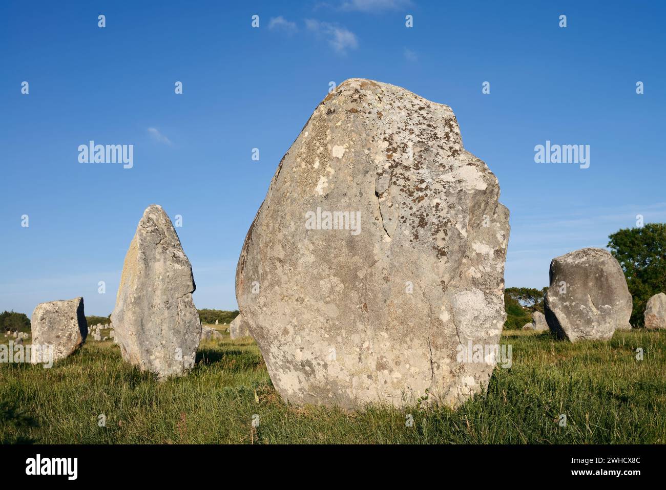 Megalithe, Alignements du Menec, Carnac, Department of Morbihan, Brittany, France Stock Photo