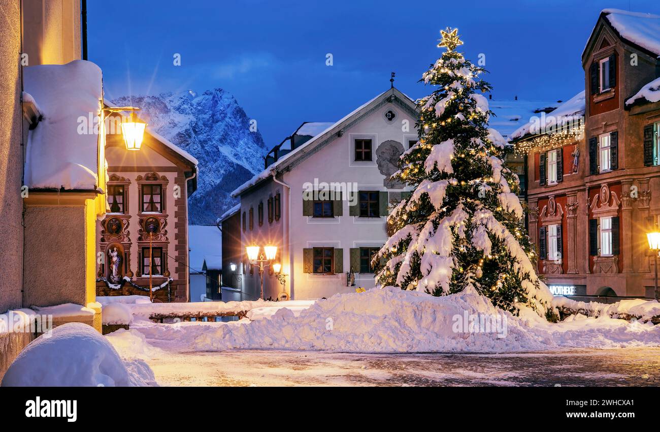 Snow-covered Christmas tree on the historic Ludwigstrasse in the Partenkirchen district with Zugspitze 2962m at dusk, Garmisch-Partenkirchen Stock Photo