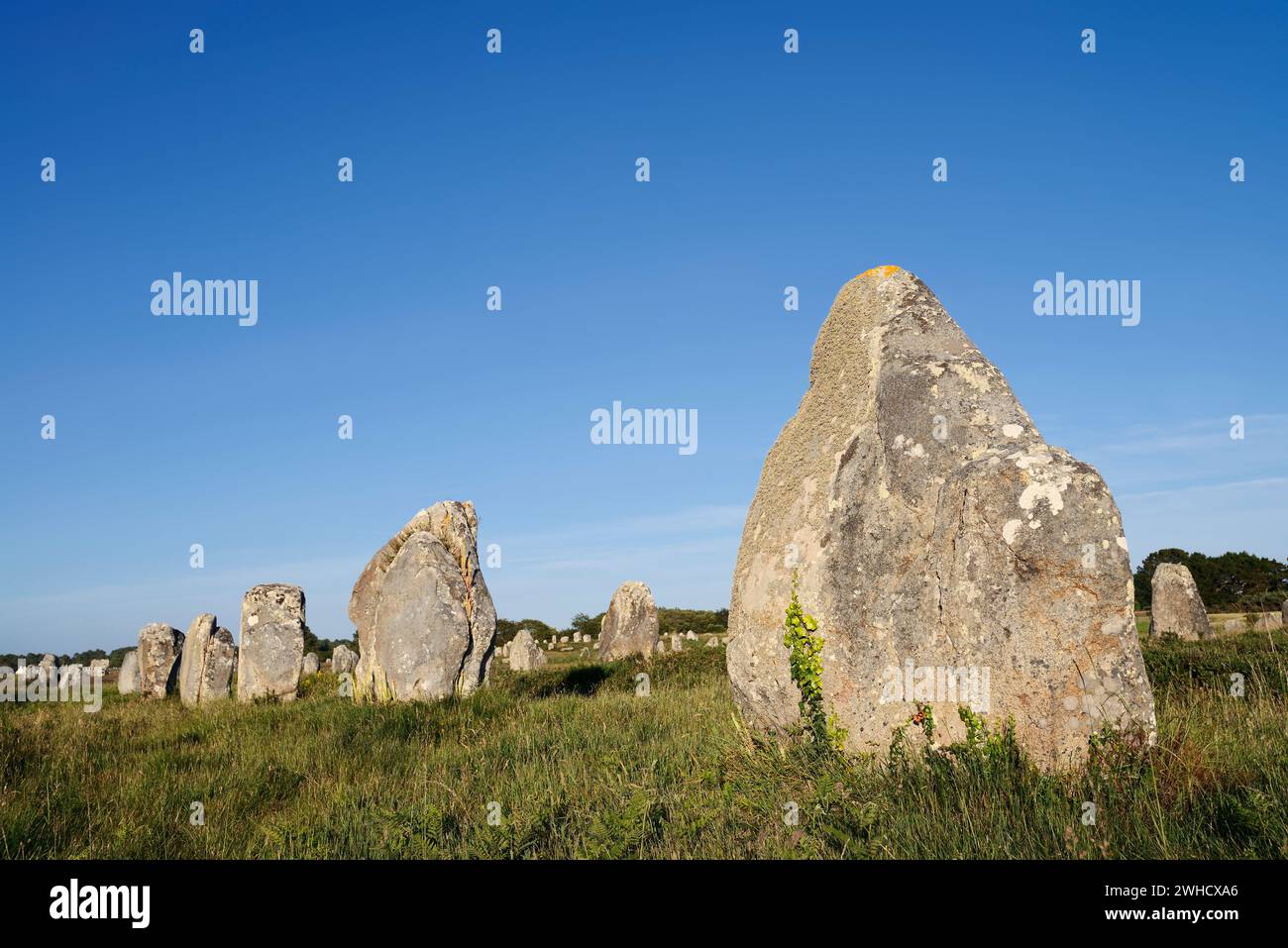 Megalithe, Alignements du Menec, Carnac, Department of Morbihan, Brittany, France Stock Photo