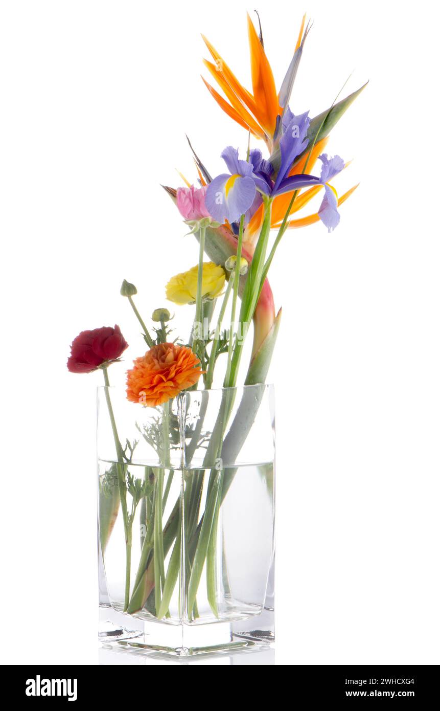 Various vibrant flowers hi-res stock photography and images - Alamy