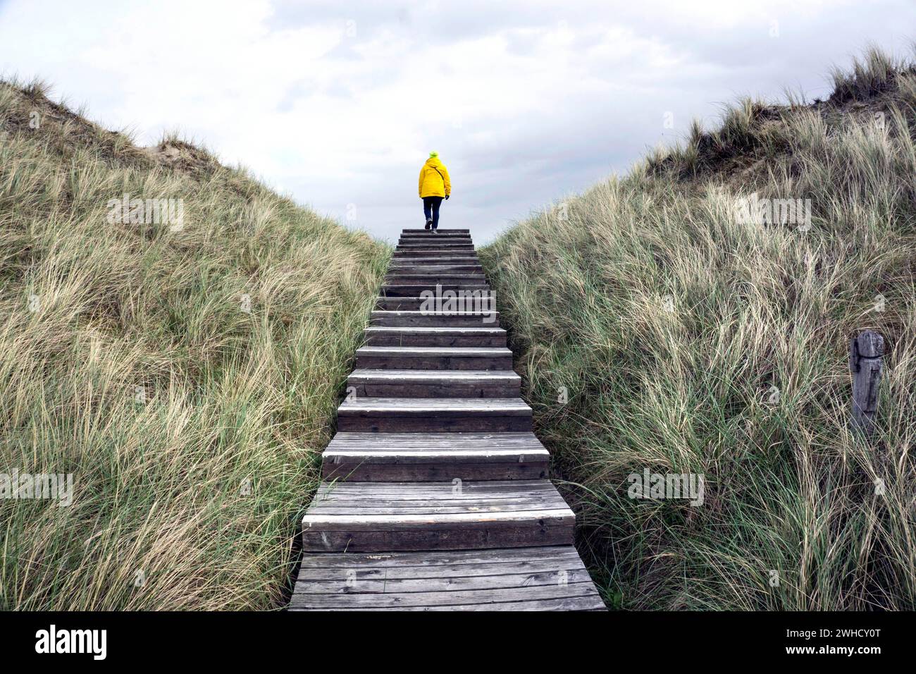 Woman with yellow rain jacket walking over a staircase in the dunes, Amrum Island, Wittduen, 24.05.2021 Stock Photo