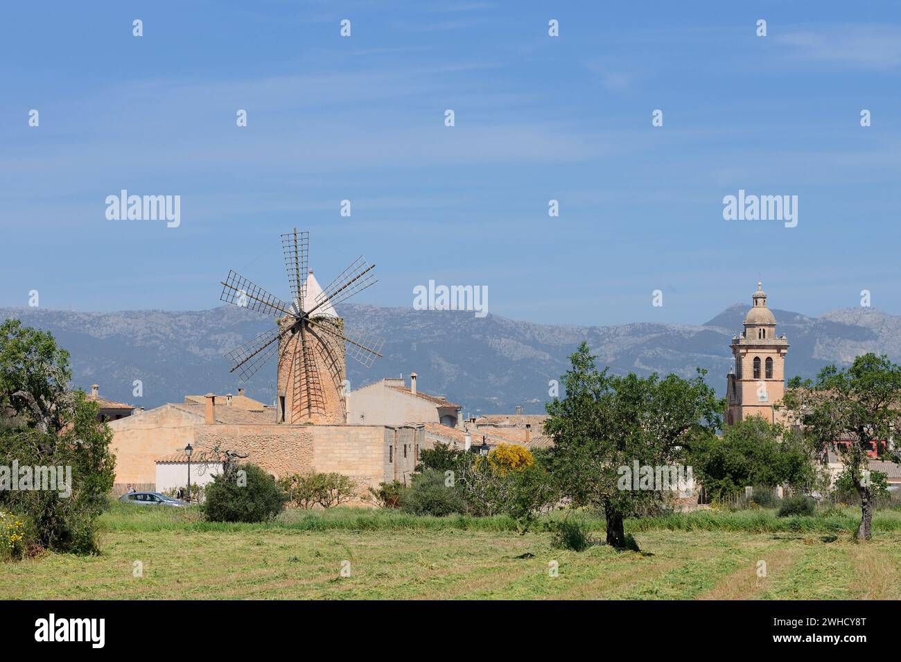 Windmill and church of San Pedro y Pablo, Algaida, Mallorca, Balearic Islands, Spain Stock Photo