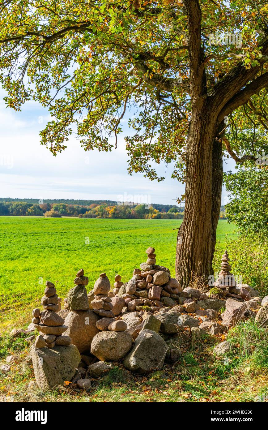 Stone pyramids by the wayside, International Art Trail, Hoher Flaeming ...