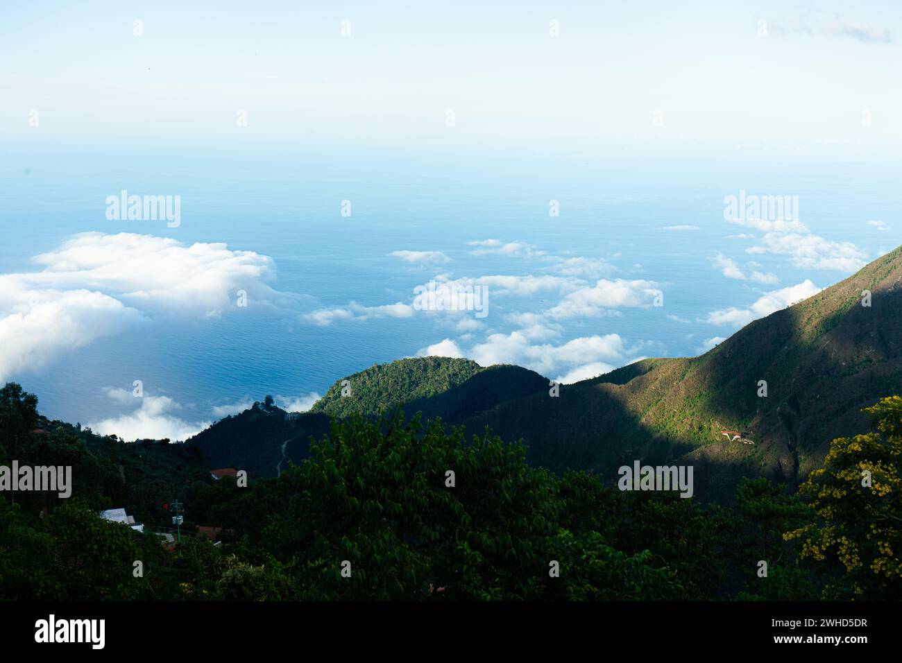 Photo taken with a Sony Alpha 7 II camera. In Venezuela- Caracas, on the mountain named Avila. Stock Photo