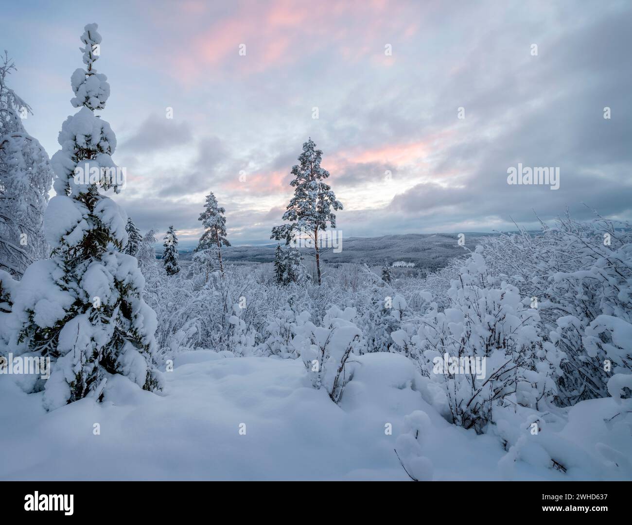 Winter landscape view of swedish mountains Stock Photo
