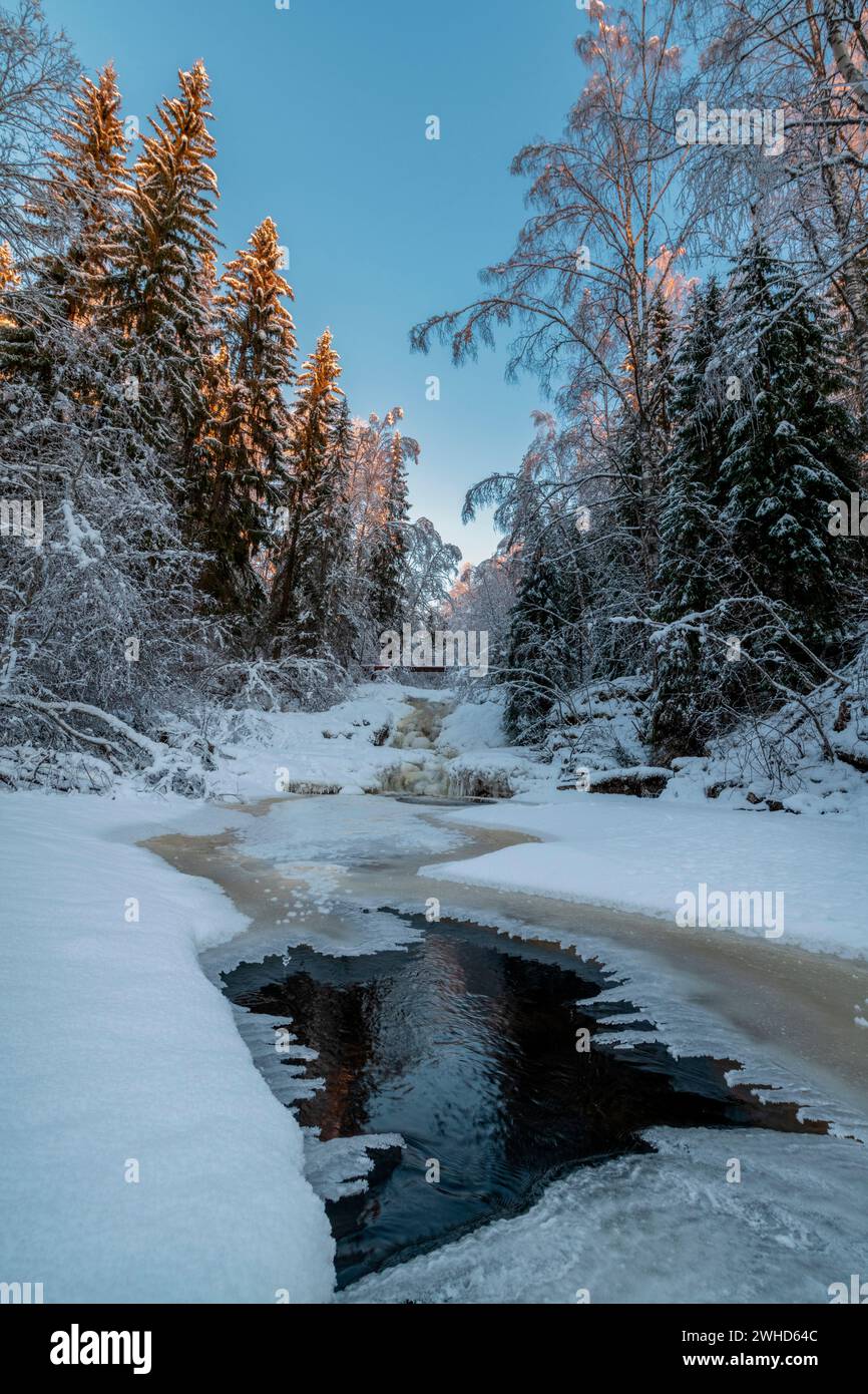 Winter landscape view of swedish mountains Stock Photo