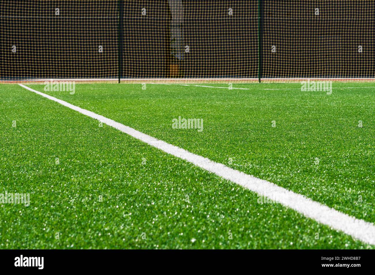 soccer field markings. Soccer, football field. Lines on football stadium sport background