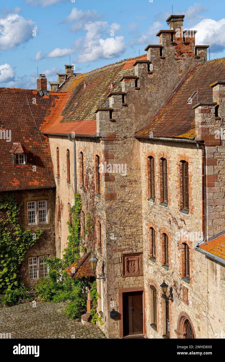 Saaleck Castle near the wine town of Hammelburg, Bad Kissingen district, Lower Franconia, Franconia, Bavaria, Germany Stock Photo