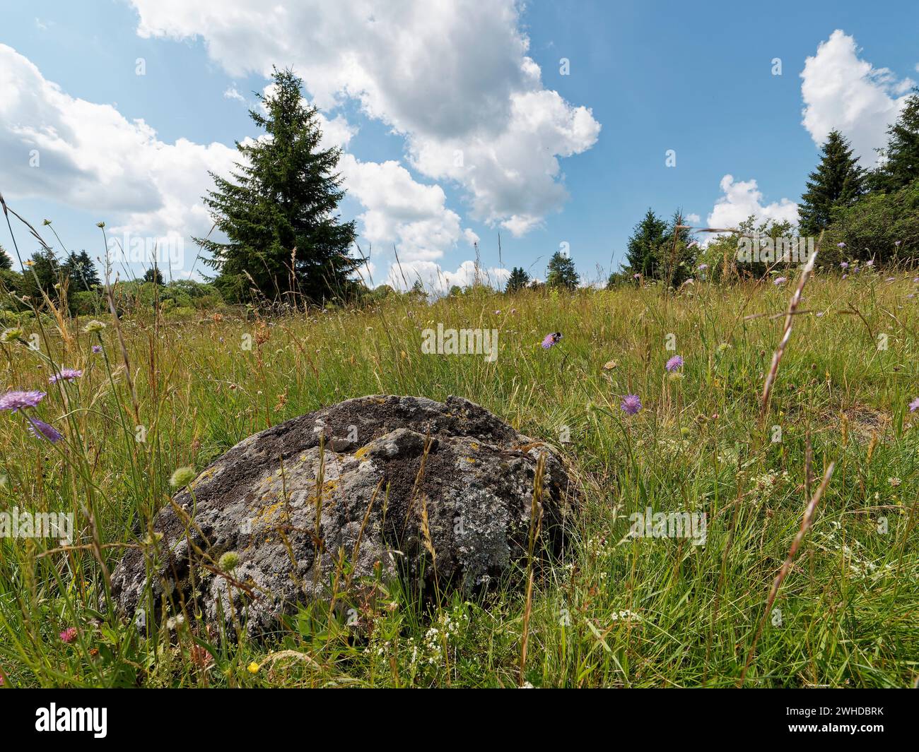 Landscape in the 'Hohe Rhön' nature reserve between Basaltsee and Heidelstein, Rhön Biosphere Reserve, Lower Franconia, Franconia, Bavaria, Germany Stock Photo