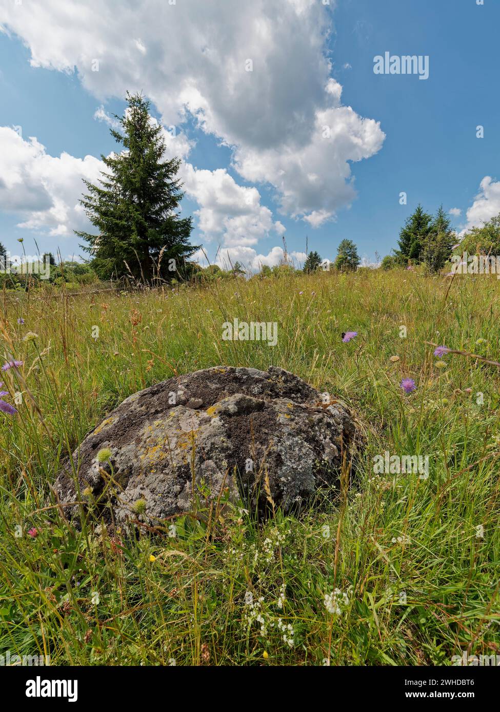 Landscape in the 'Hohe Rhön' nature reserve between Basaltsee and Heidelstein, Rhön Biosphere Reserve, Lower Franconia, Franconia, Bavaria, Germany Stock Photo