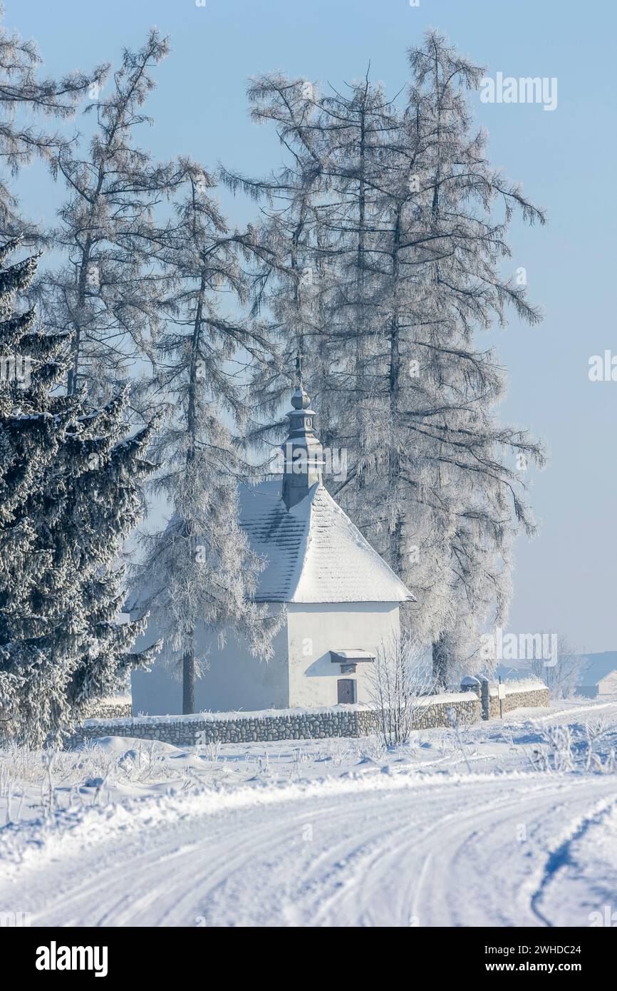 Europe, Poland, Lesser Poland, winter with hoarfrost near Nowa Biala, Spisz region Stock Photo