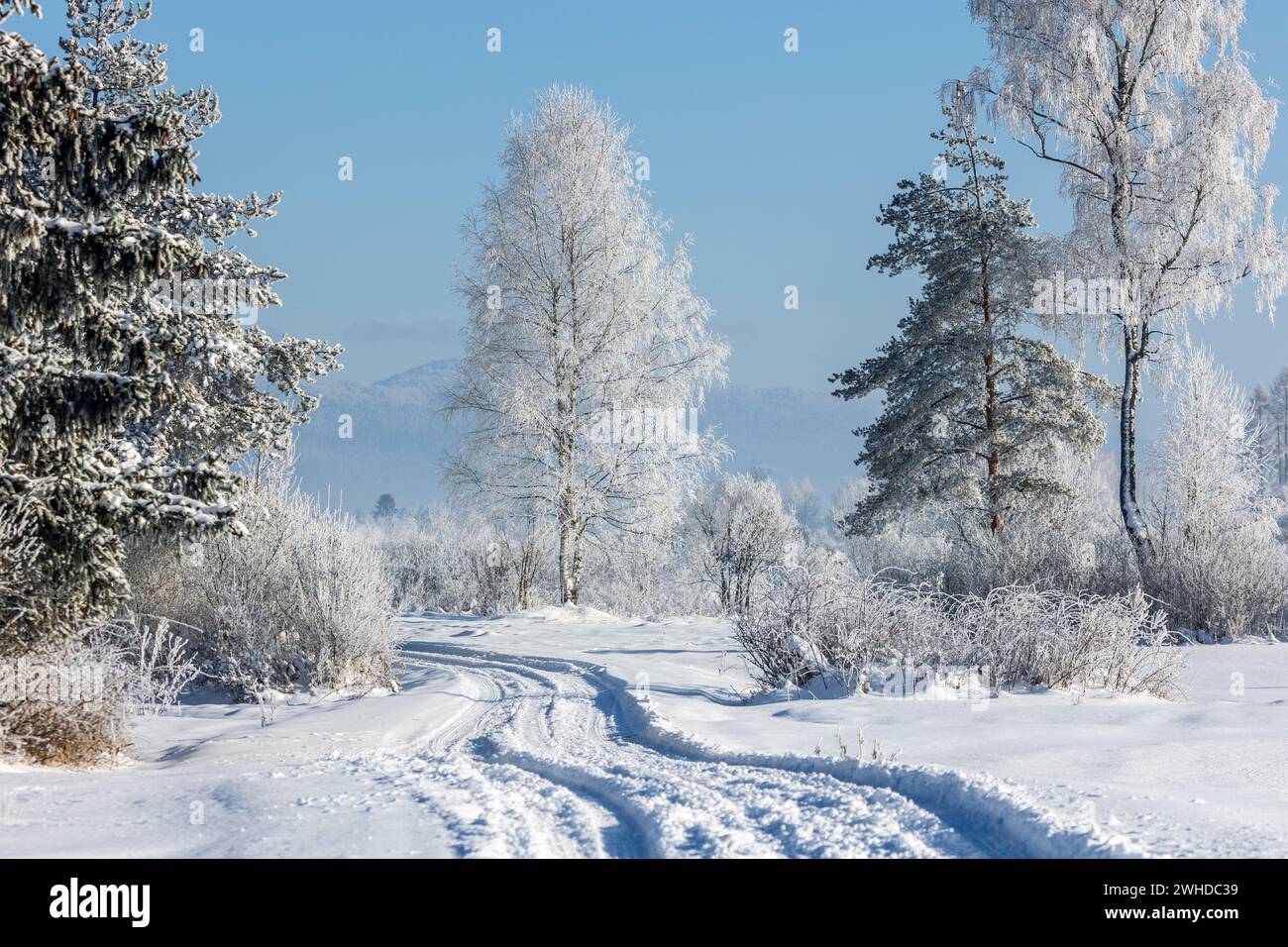 Europe, Poland, Lesser Poland, winter with hoarfrost near Nowa Biala, Spisz region Stock Photo