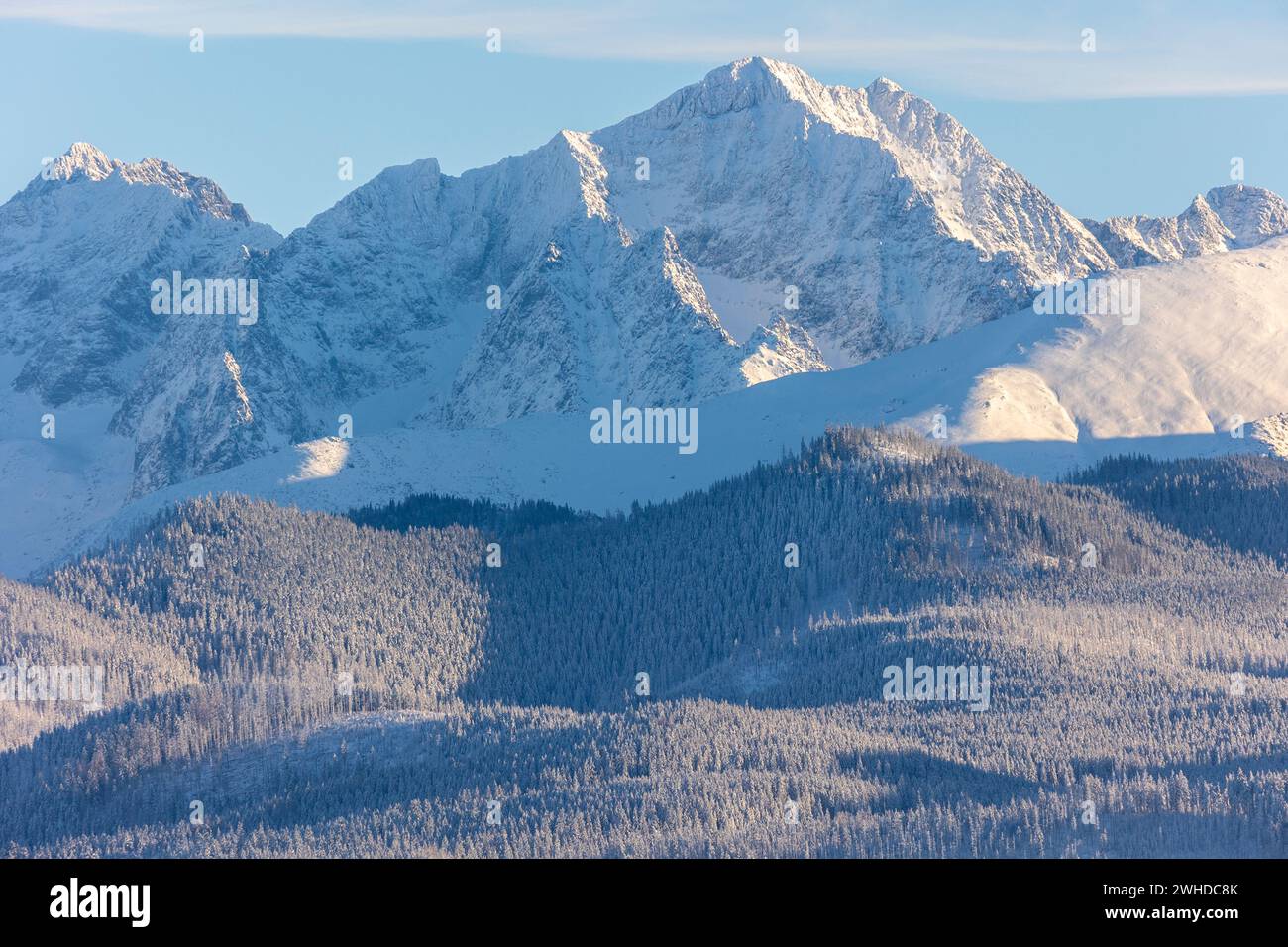 Europe, Poland, Lesser Poland, Tatra Mountains, Podhale, view from Zab village Stock Photo