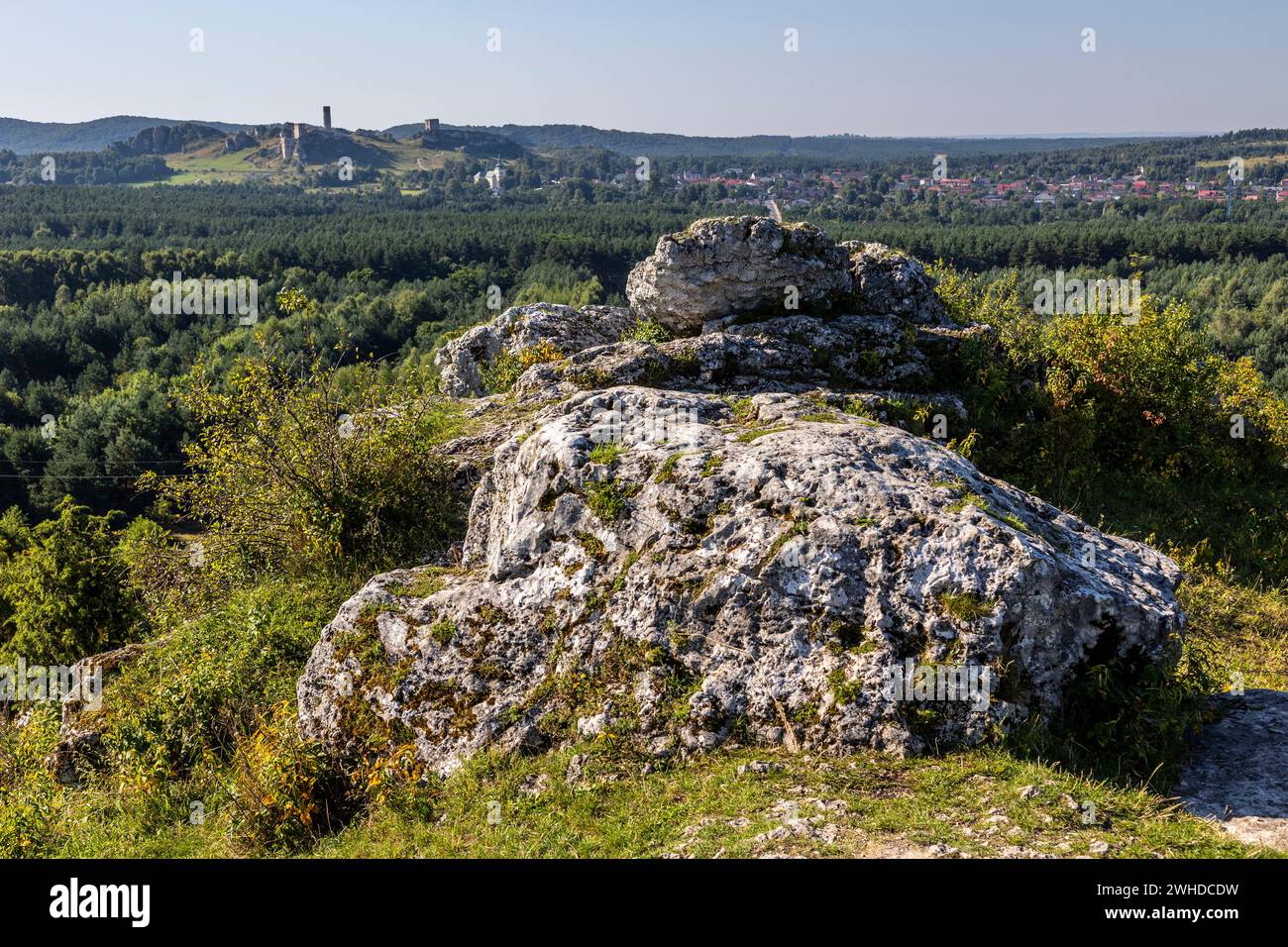 Europe, Poland, Silesian Voivodeship, Krakow-Czestochowa Upland, Polish Jurassic Highland, Jura, Gory Towarne near Czestochowa Stock Photo