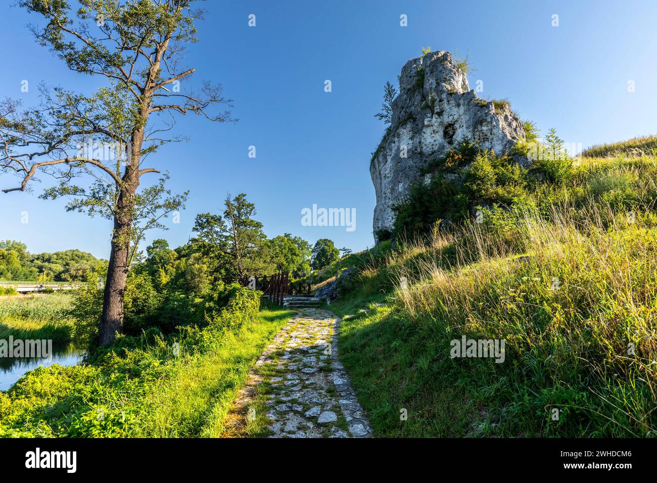 Europe, Poland, Silesian Voivodeship, Krakow-Czestochowa Upland, Polish Jurassic Highland, Jura, Mstow, Skala Milosci, Love Rock Stock Photo