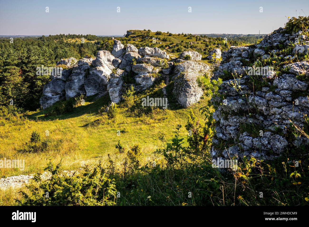 Europe, Poland, Silesian Voivodeship, Krakow-Czestochowa Upland, Polish Jurassic Highland, Jura, Gory Towarne near Czestochowa Stock Photo