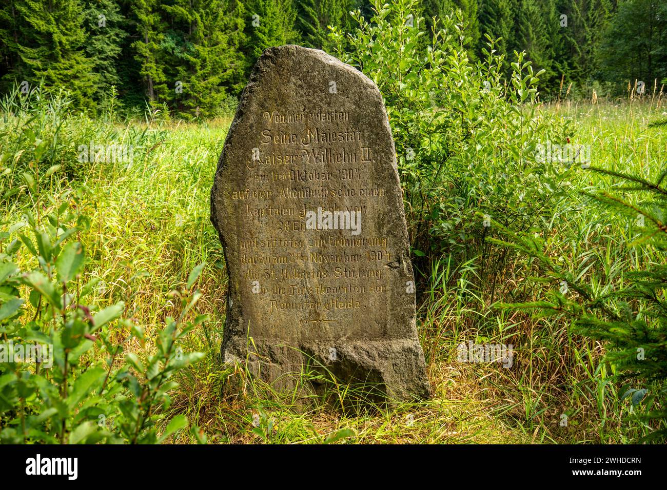 Europe, Poland, Warmian-Masurian Voivodeship, Puszcza Romincka, Romincka Forest, Wilhelm's Stones Stock Photo