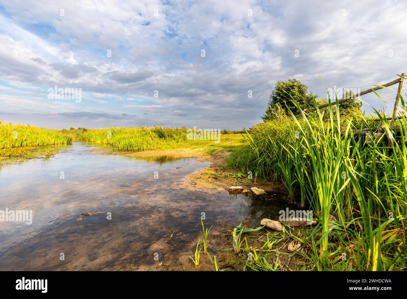Cieluszki hires stock photography and images Alamy