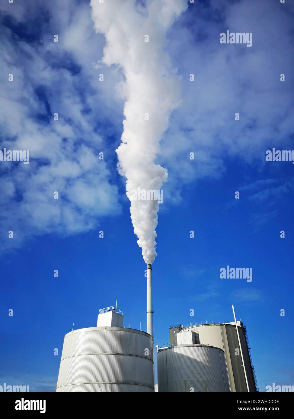 Südzucker company in Plattling, Lower Bavaria, Bavaria, Germany, the production of refined sugar begins around September when the sugar beetsare ripe and lasts until January, smoking chimney. Stock Photo