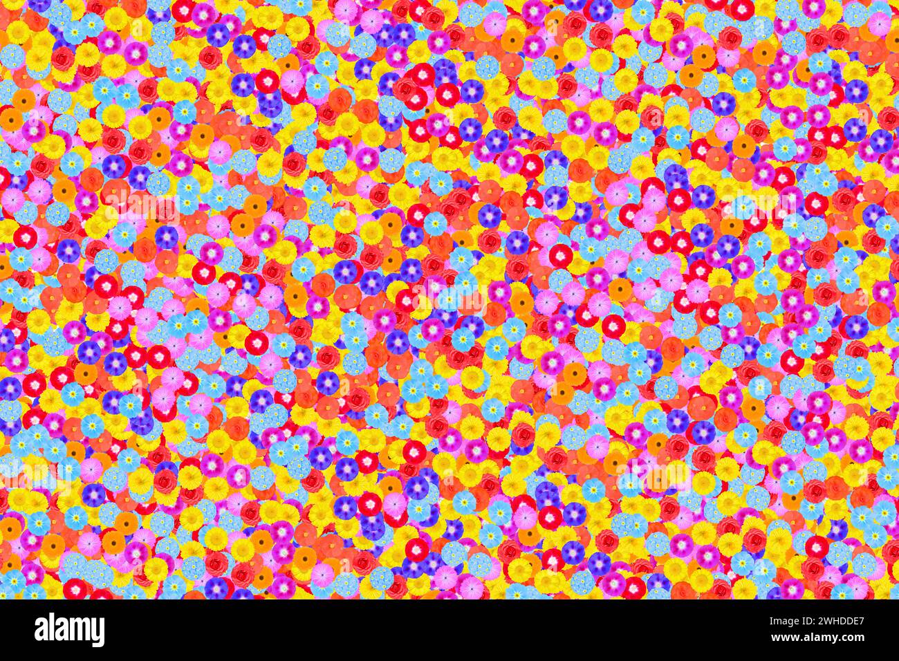 Illustration various flowers hi-res stock photography and images - Alamy