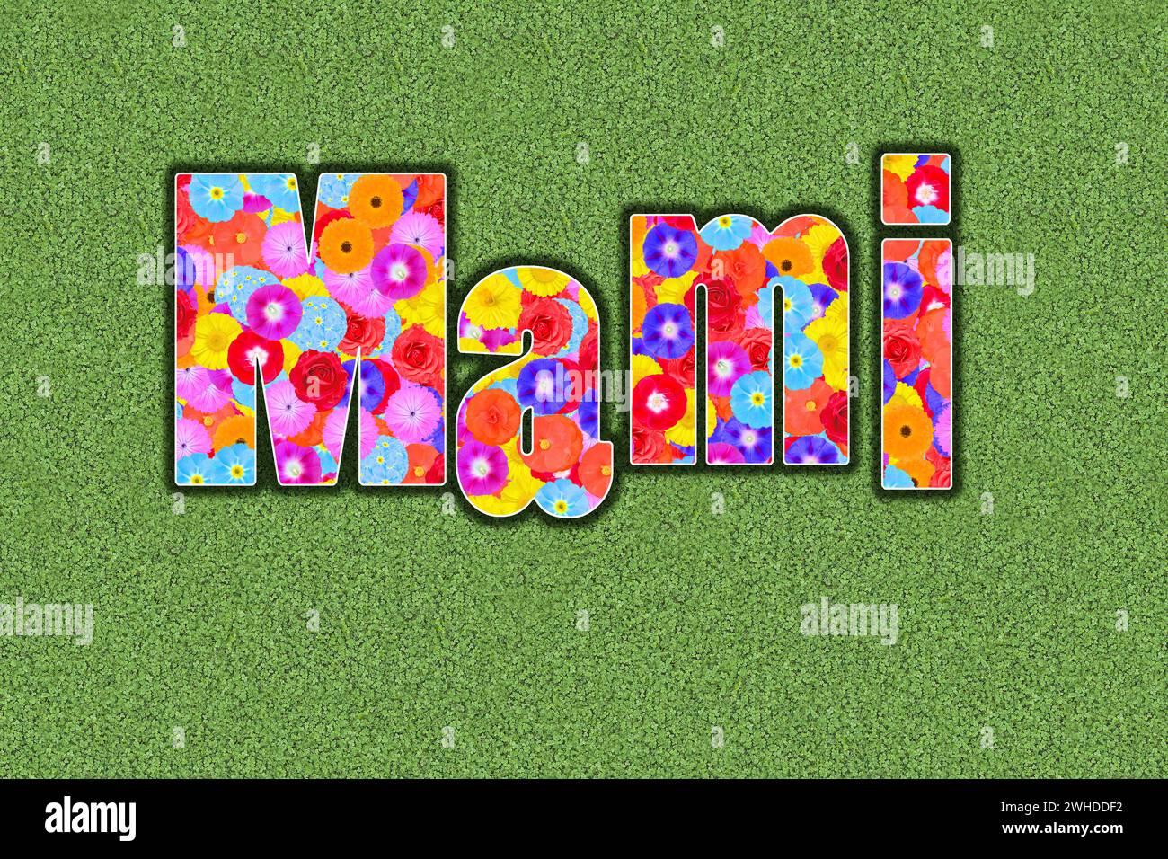 Word Mami with colourful flowerss, graphic design, illustration Stock Photo