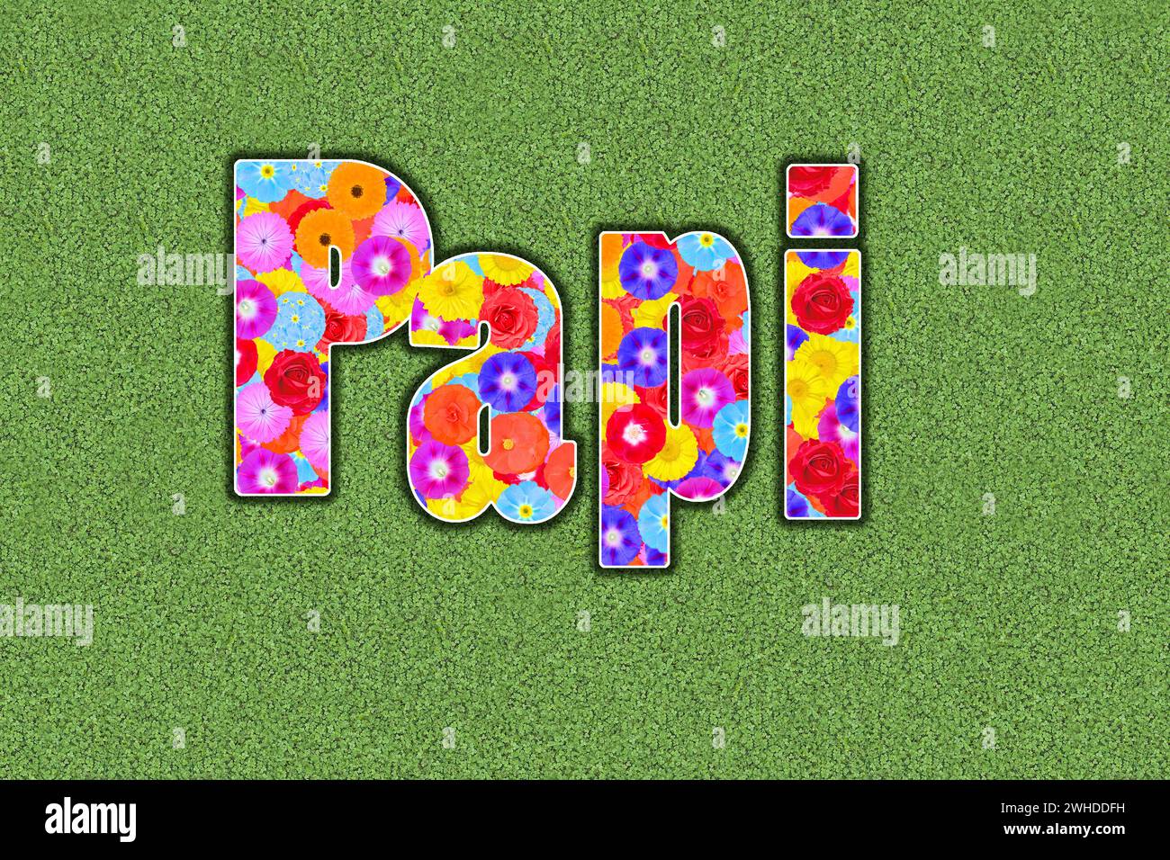 Word Papii with colourful flowerss, graphic design, illustration Stock Photo