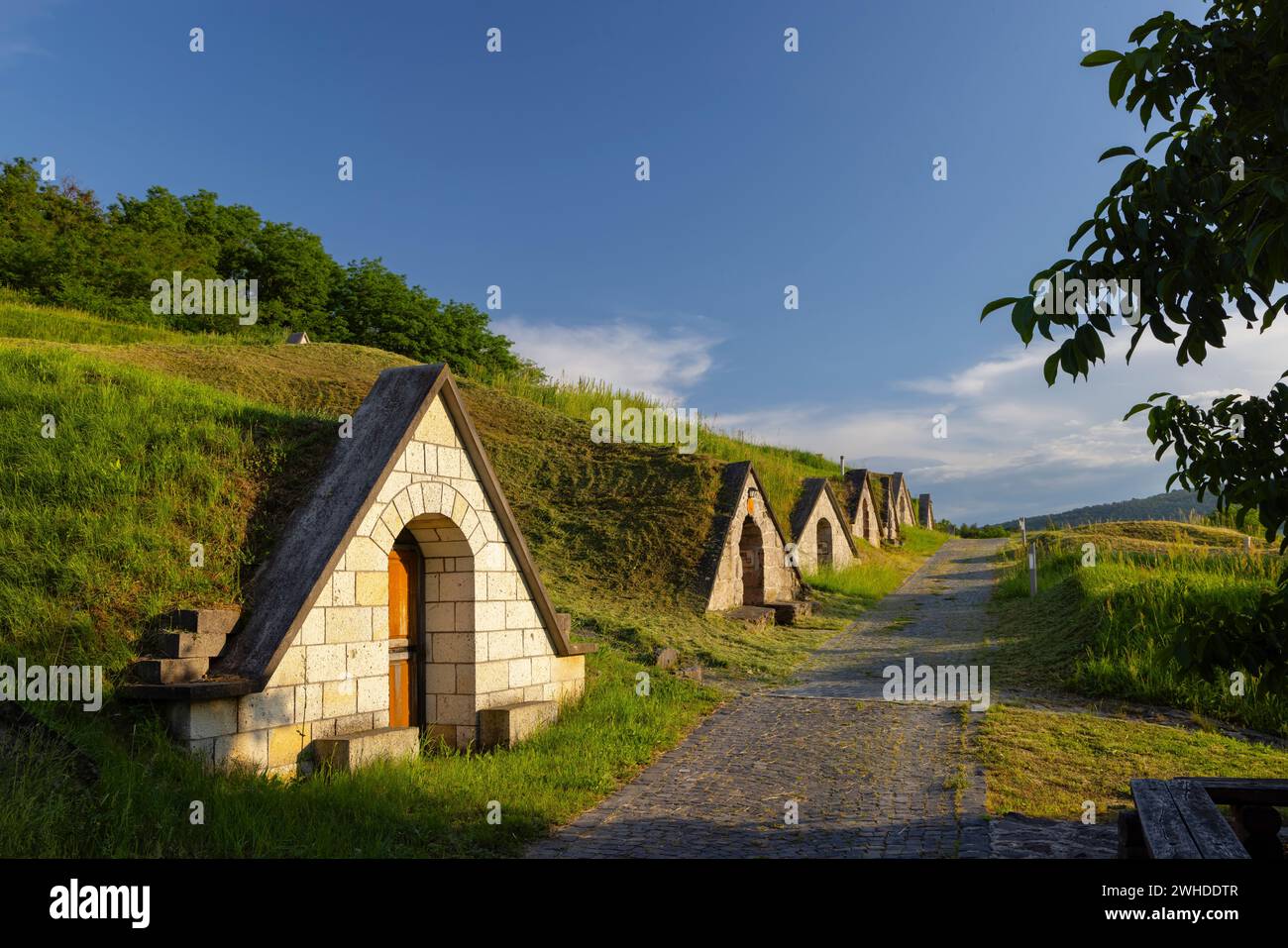Gombos-hegyi pincesor in Hercegkut, UNESCO site, Great Plain, North Hungary Stock Photo