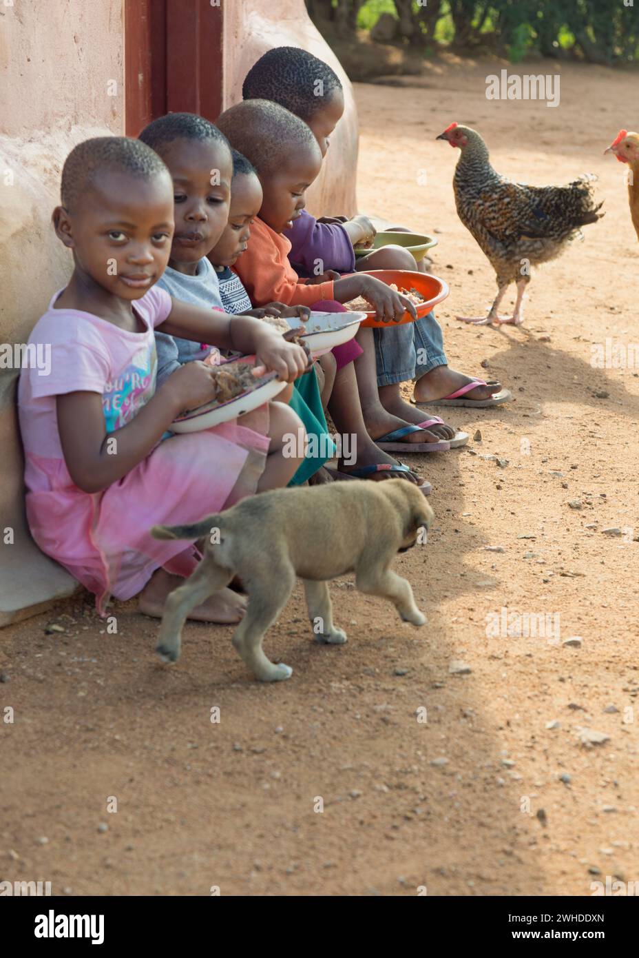Group of african girls hi-res stock photography and images - Alamy