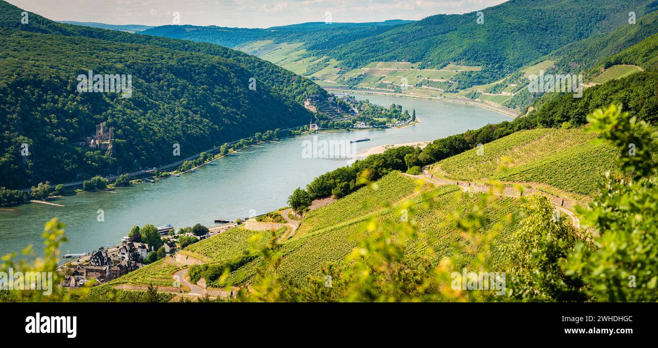 Assmannshausen rudesheim hi-res stock photography and images - Page 4 -  Alamy, image size:1300x687