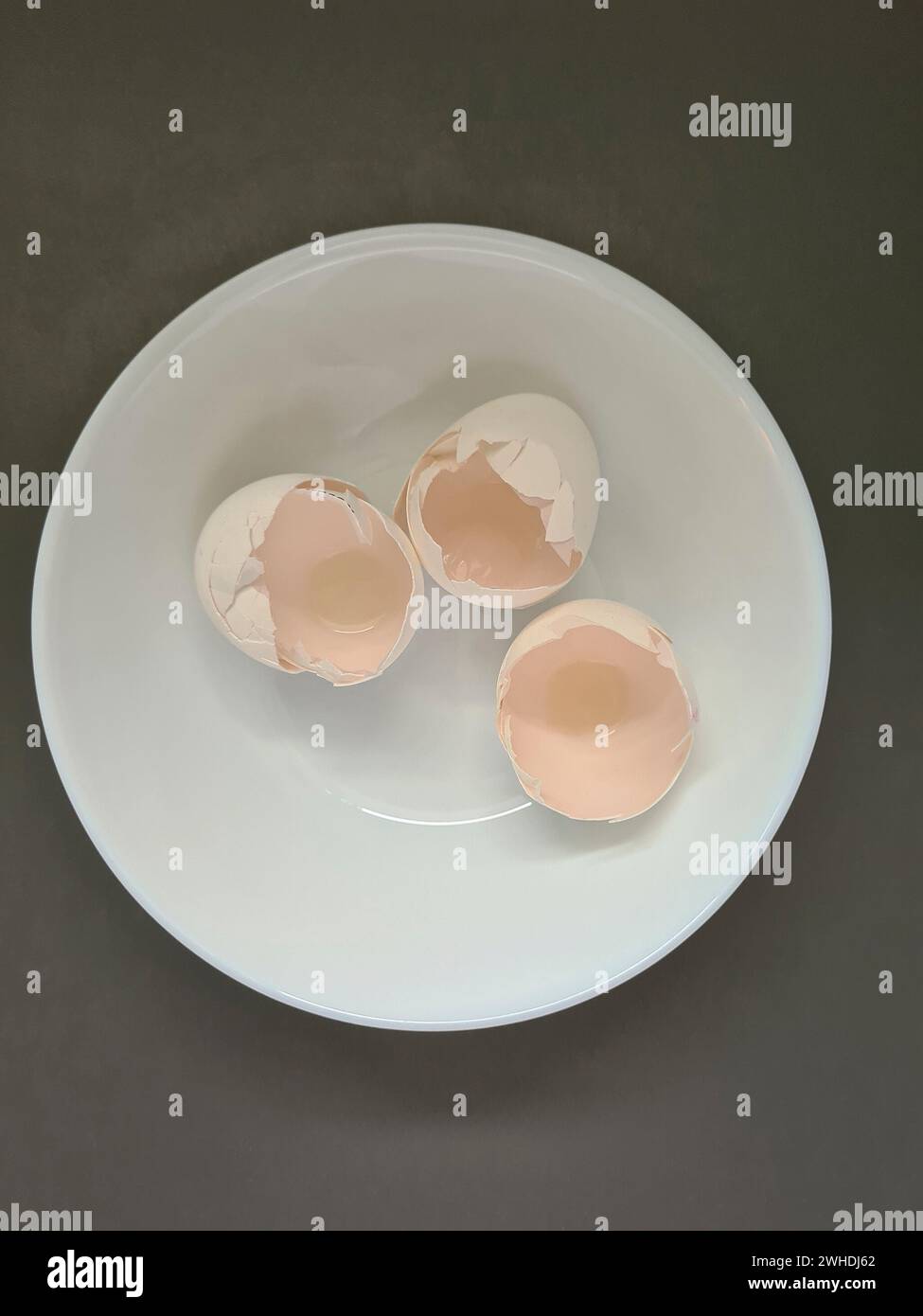 Three white cracked eggshells in a white shell on a gray background Stock Photo