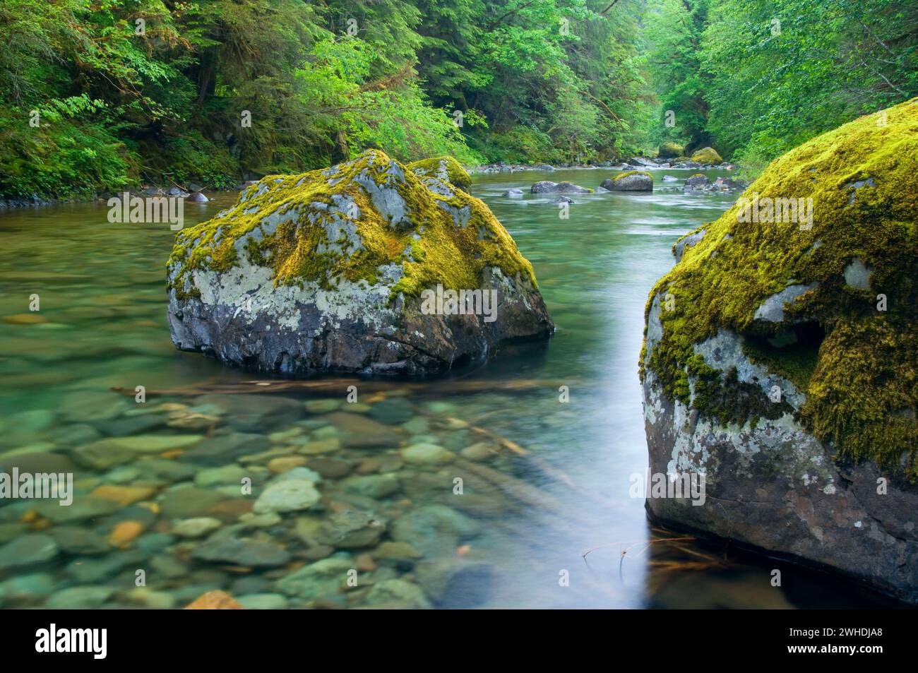 Quartzville Creek Wild and Scenic River, Quartzville Creek National ...