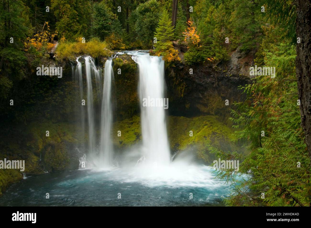 Koosah Falls, McKenzie Wild and Scenic River, McKenzie Pass-Santiam ...