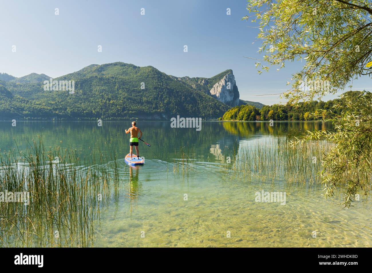 Stand up paddler at Mondsee, Drachenwand, Salzkammergut, Salzburg