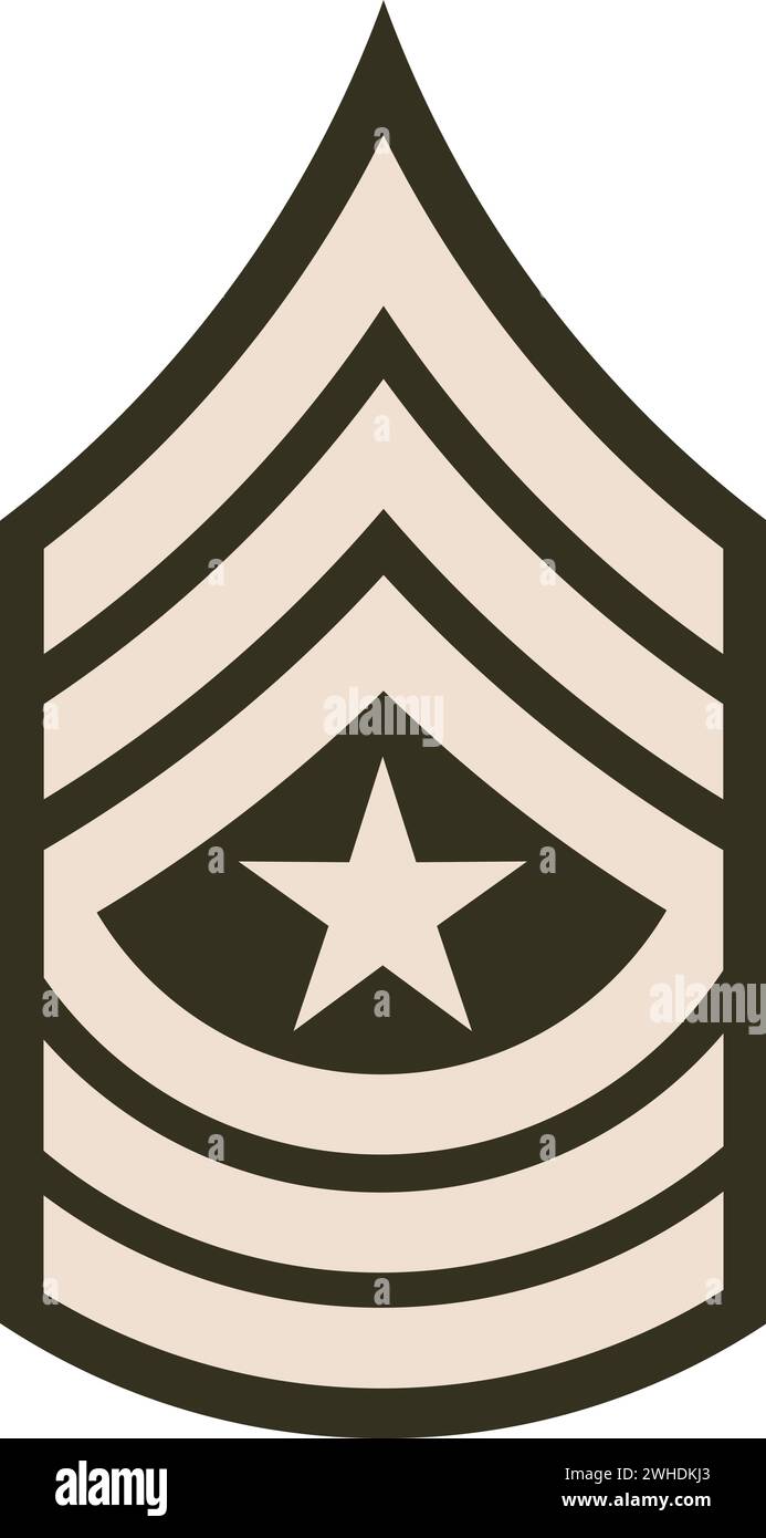 Shoulder pad military enlisted rank insignia of the USA Army SERGEANT