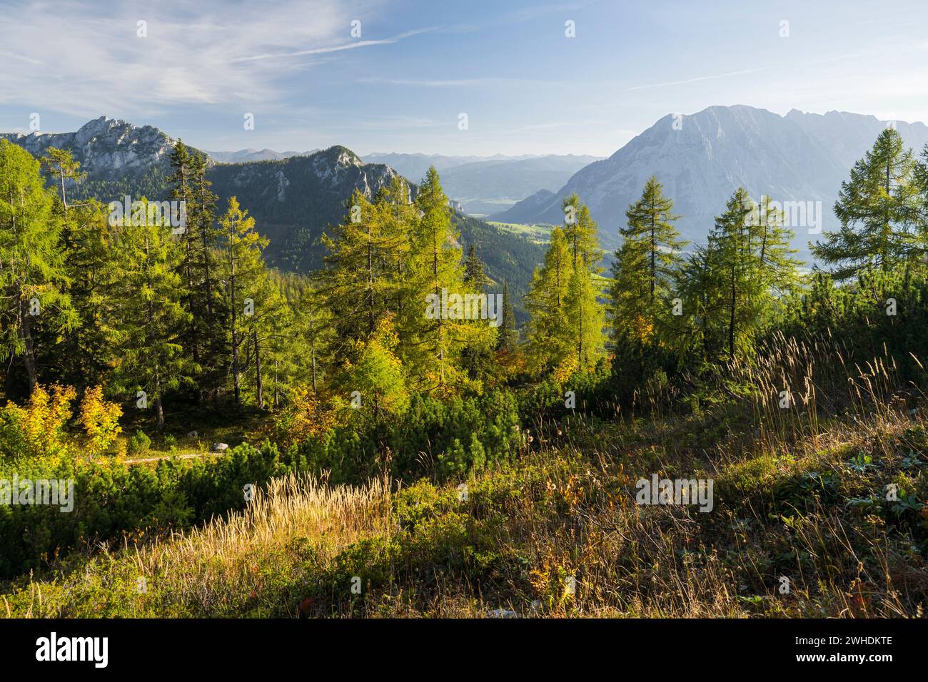 View from the tauplitz to the grimming hi-res stock photography and ...