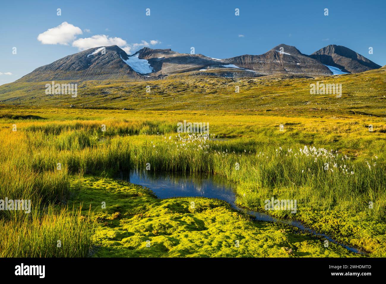 Akka mountain massif, Sarek National Park, Lapland, Sweden, Europe ...