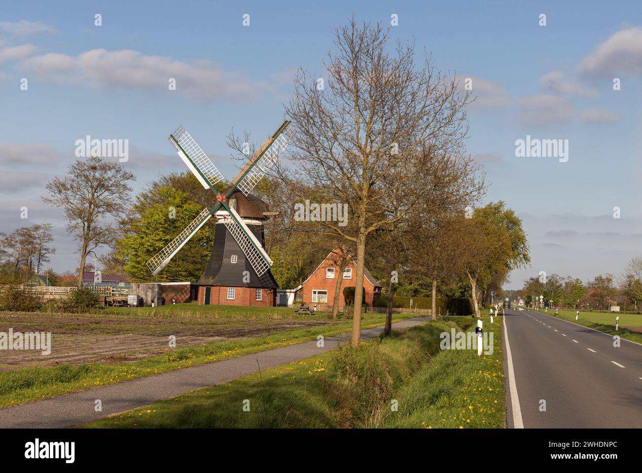 Windö¸hle, ëTjadens ö¸hleë, ö¸dcoldinne, municipality of Groï¬‚heide, East Frisia, Lower Saxony, Stock Photo