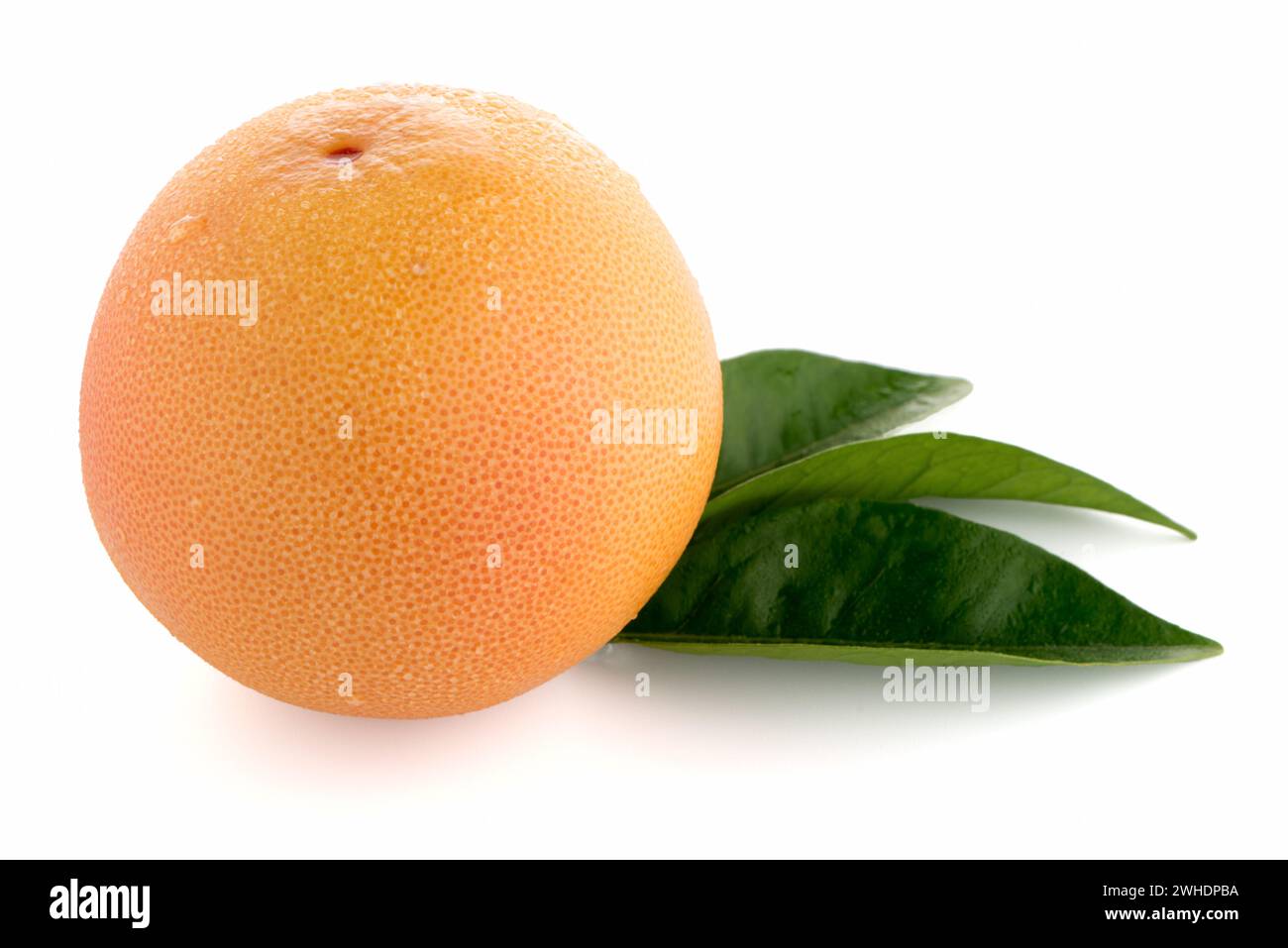 Slice red juicy grapefruit hi-res stock photography and images - Alamy