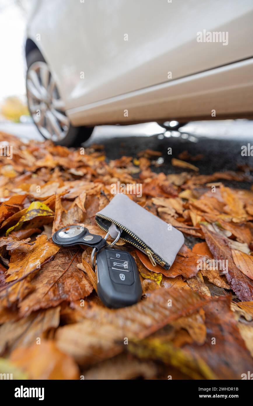 Car key with Apple AirTag lost when getting out of the car, roadside, fall leaves, car, symbol image, tracking tag, Stock Photo