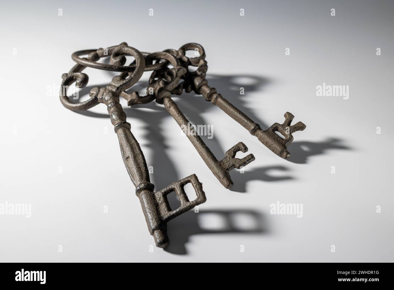 Three old decorative keys on a key ring, vintage, white background, Stock Photo
