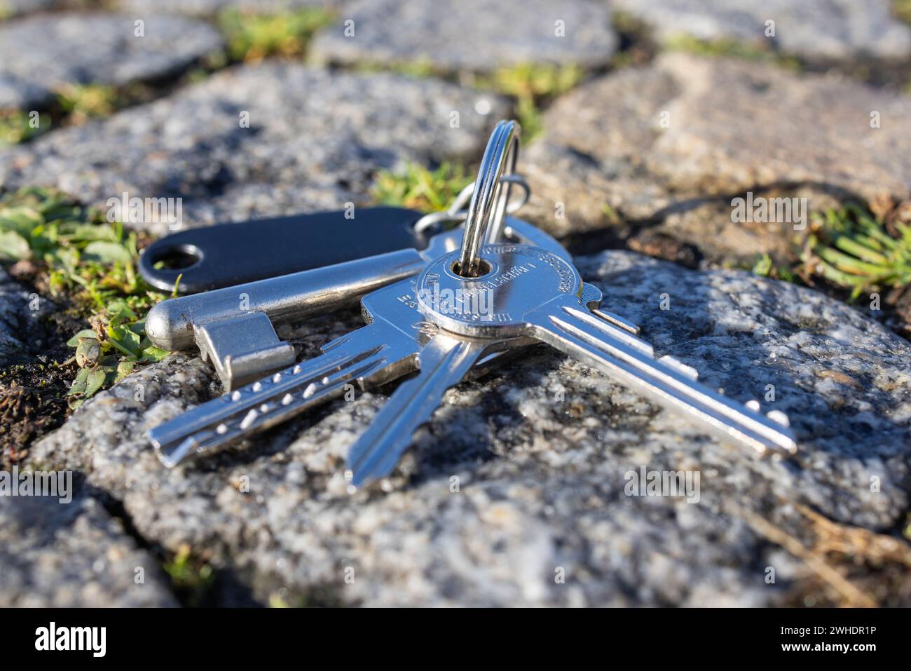 Lost bunch of keys on the street, symbolic image, lost apartment key