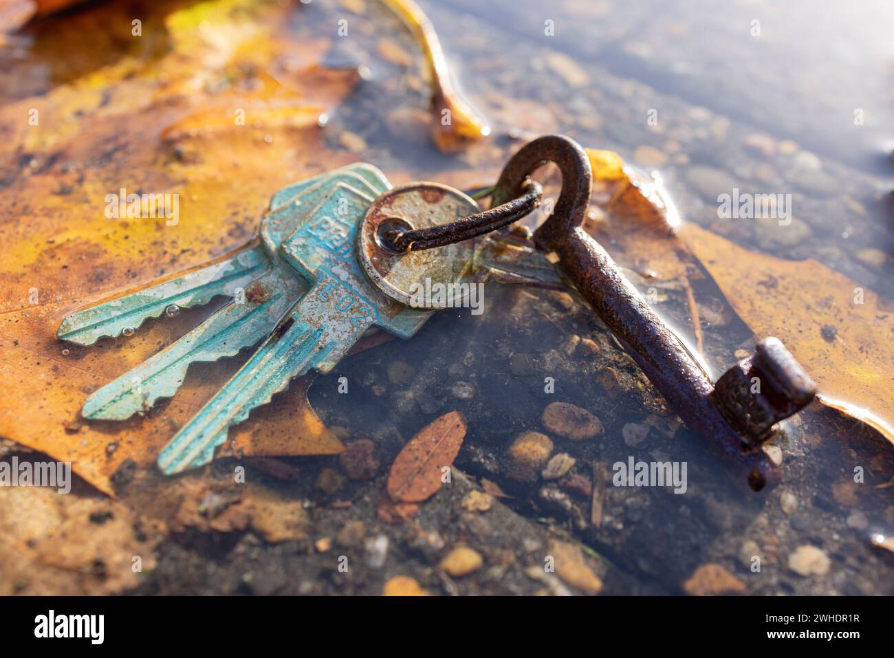 Lost bunch of keys hi-res stock photography and images - Alamy