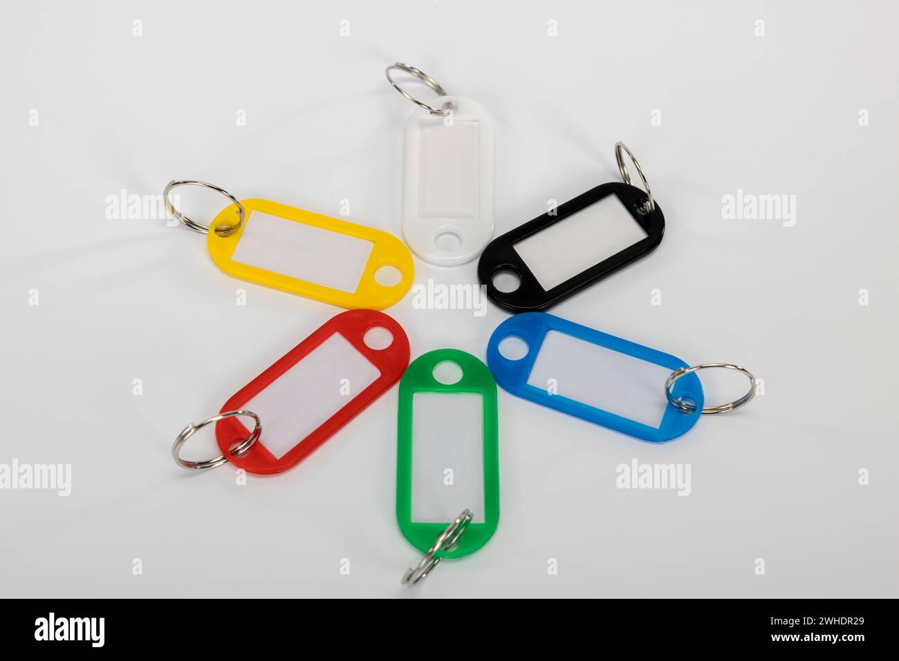 Six plastic key rings with ring, arranged, without lettering, different colors, white background, Stock Photo