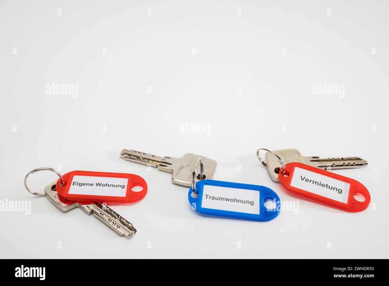 Various keys with key pendant, red, blue, labeled, ëown apartmentë, ëdream apartmentë, ërentalë, well key, white background, Stock Photo