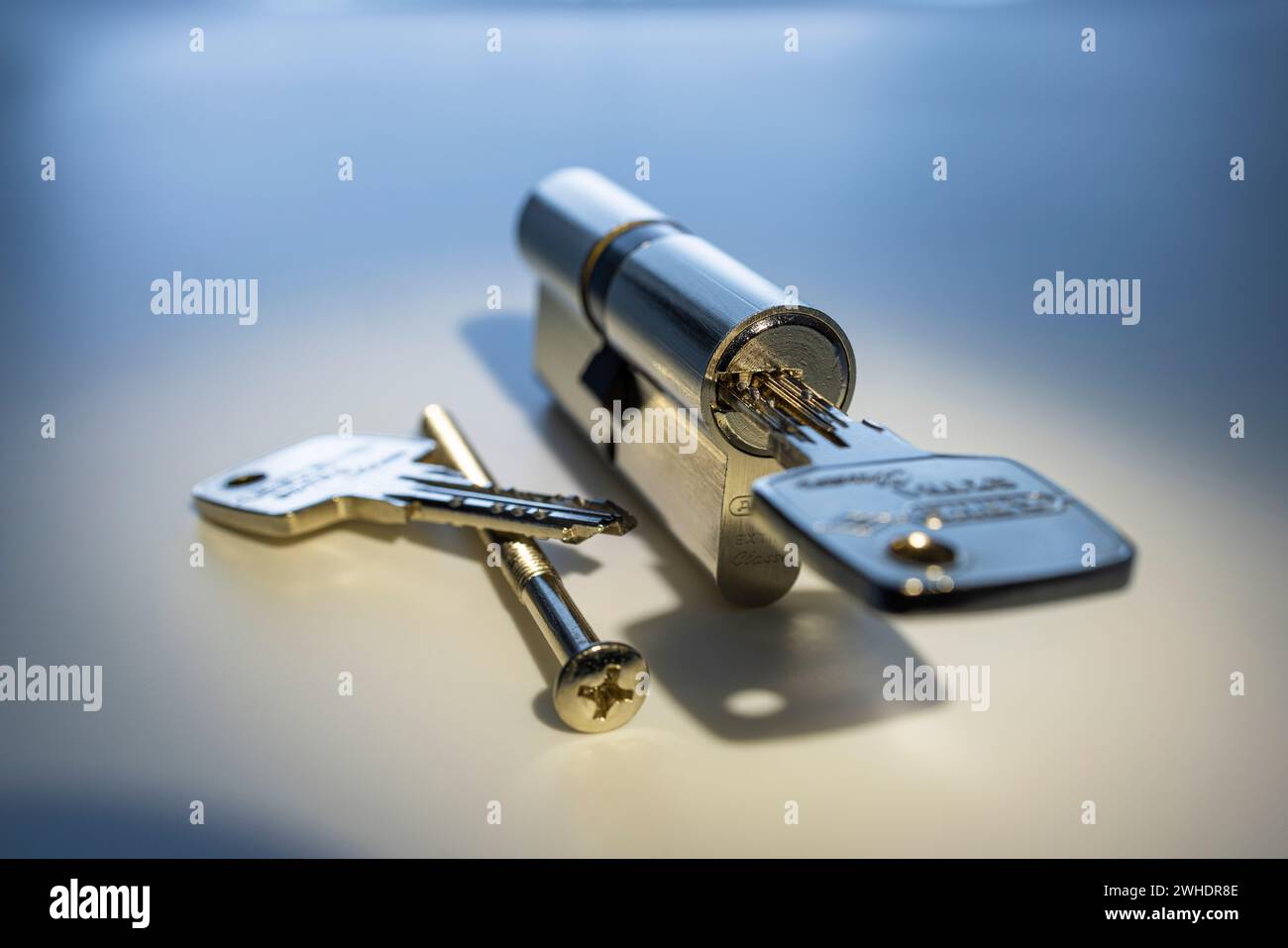 ABUS locking cylinder with key, fixing screw Stock Photo Alamy